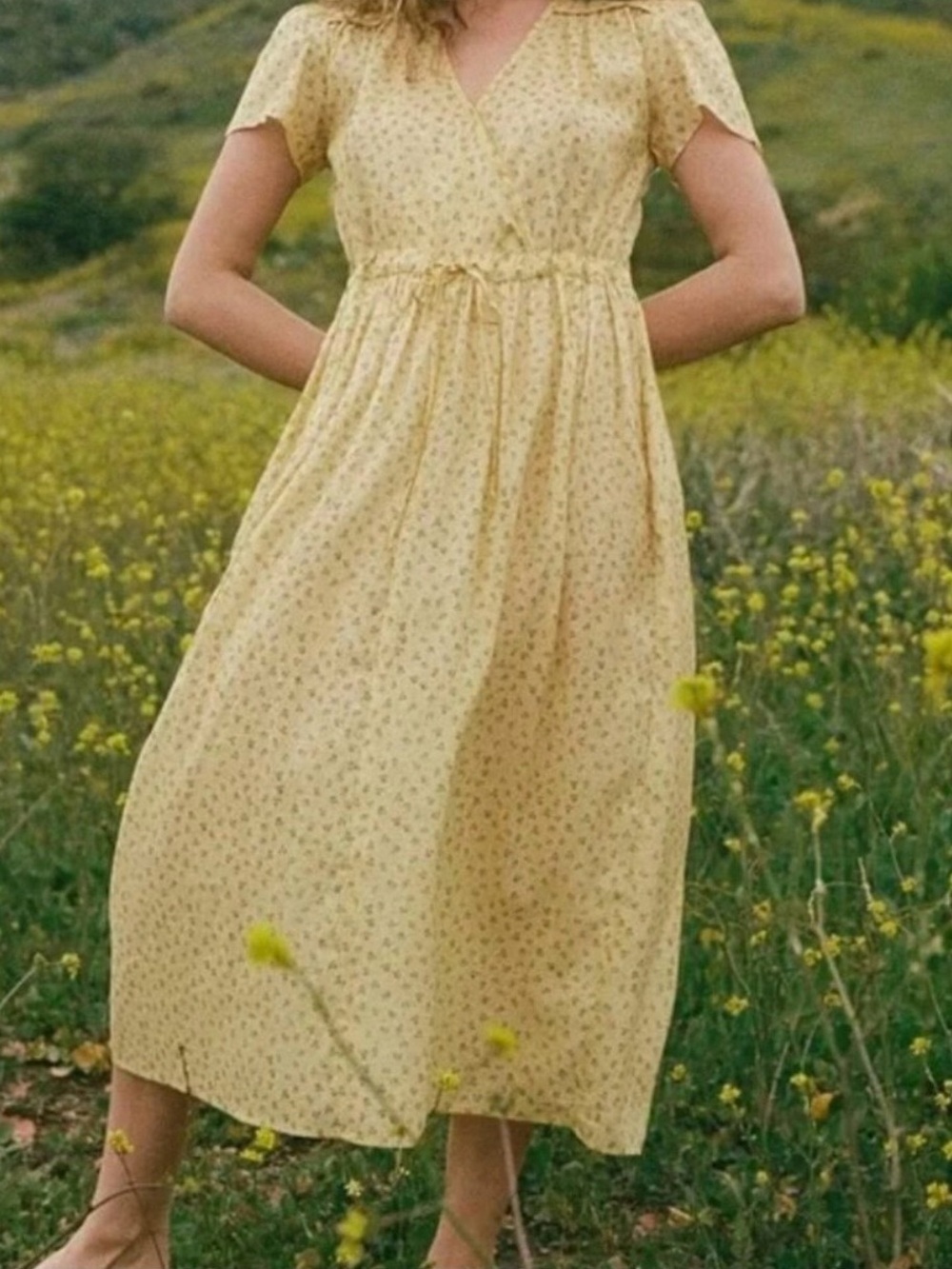 Christy Dawn The Dawn Dress In Golden Pollinator Midi Lightweight Cottagecore - Picture 4 of 9